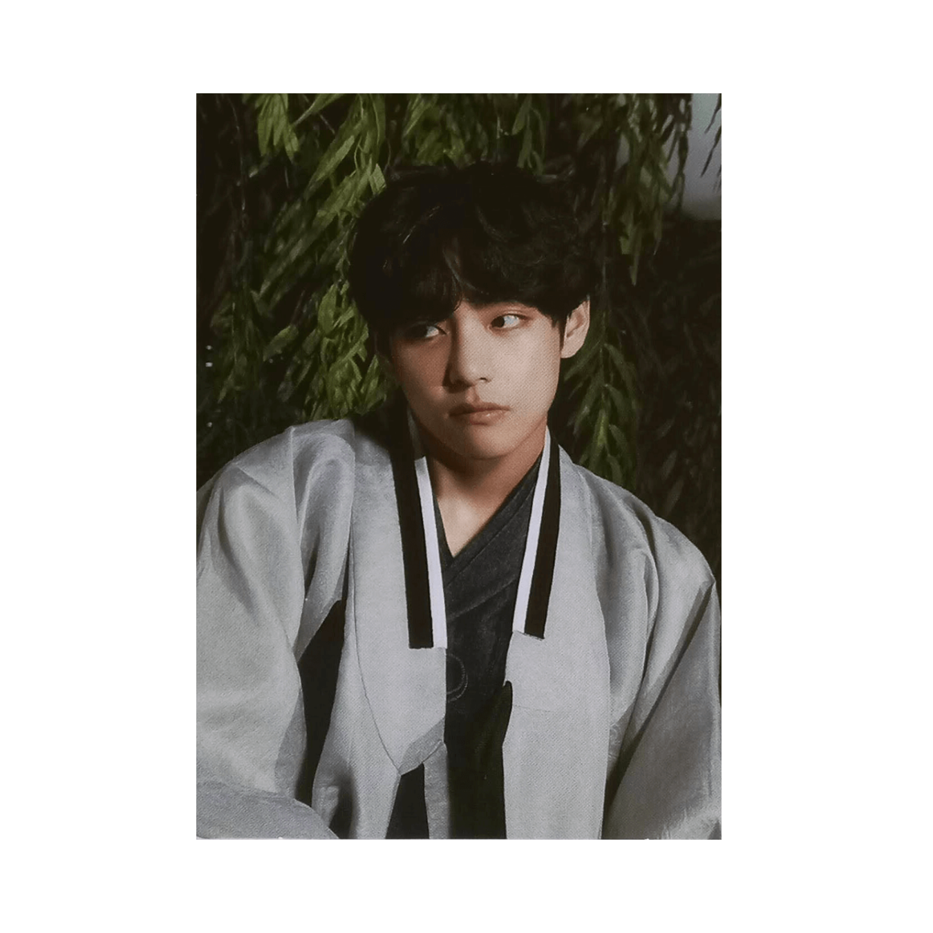 BTS  (방탄소년단)  - V 2022 Dalmajung 03/06 Photocard